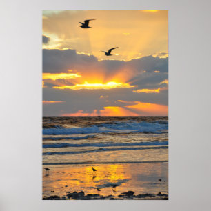 Belle matinée Plage Sunrise Scenery Poster