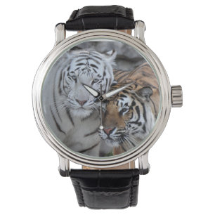 Belle montre d'amis de tigre