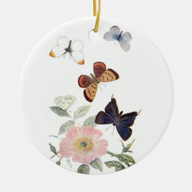 Belle Ornement Papillon Vintage (Devant)