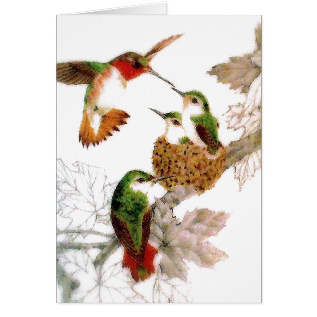 Belle photo de colibris (Devant)
