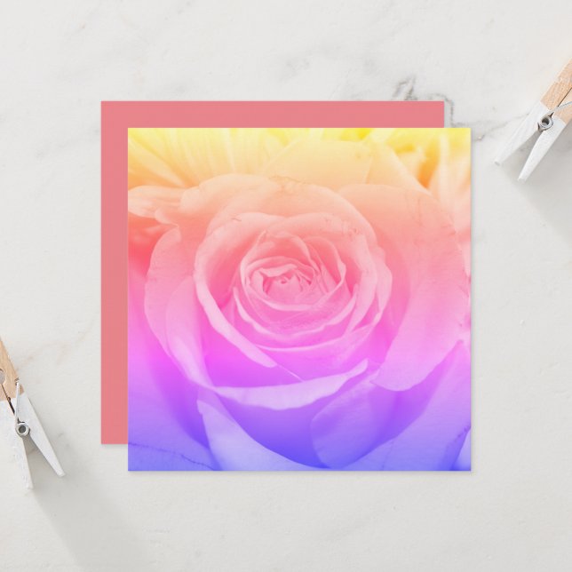 Belle photo de rose jaune (Devant/Arrière en situation)