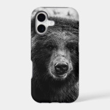 Belle photo d'ours gris