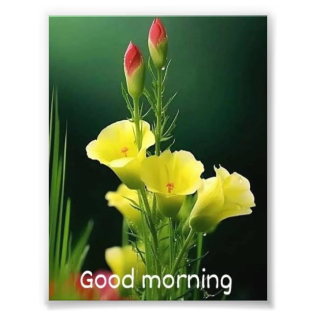 belle photo flowe (Devant)