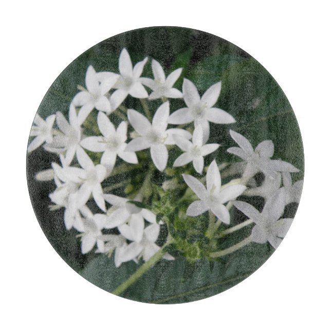 Belle Planche à découper Blanc Tropical (Devant)