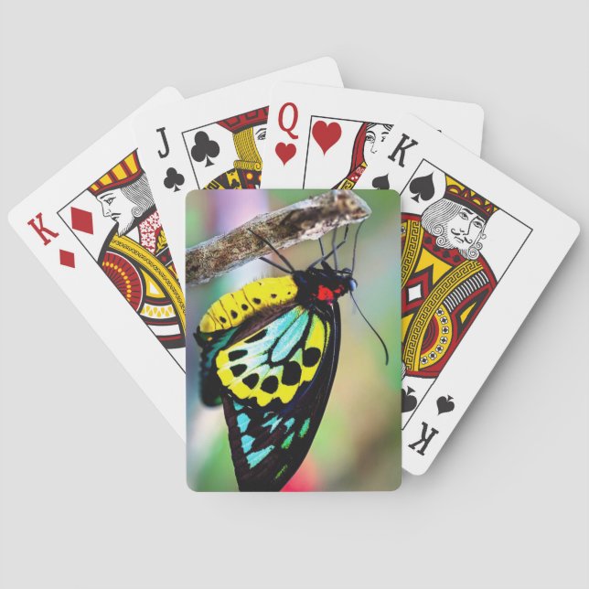 Belle Planche à Papillon de cartes à jouer (dos)