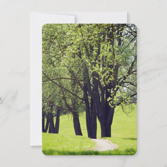 Belle prairie (Devant)