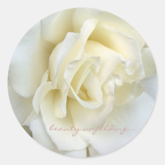 Belle rose blanche petit autocollant