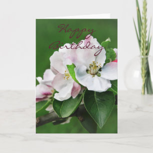 Belle rose printemps fleurit Bonne carte d'anniver