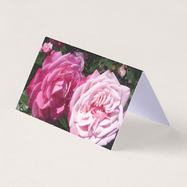 Belle Rose Rose Rose Love Carte de voeux (Front)