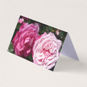 Belle Rose Rose Rose Love Carte de voeux