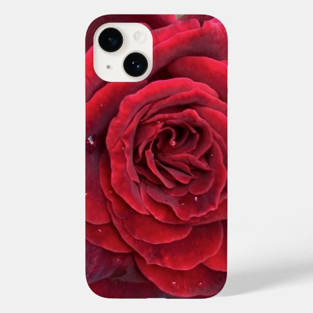 Belle rose rouge iphone 14 coque (Verso)