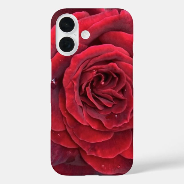 Belle rose rouge iphone 16 coque (Verso)