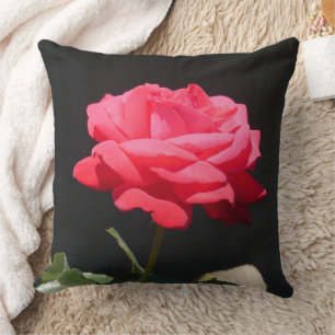 Belle rose rouge rose rose gros Coussin