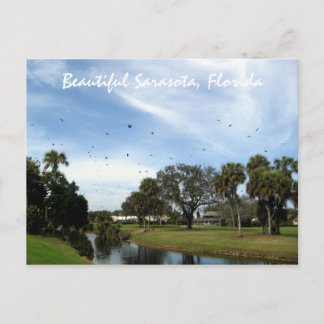 Belle Sarasota, Florida Carte Postale