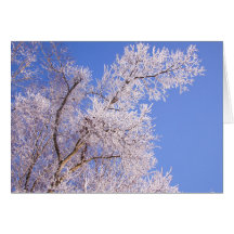 Belle scène de neige