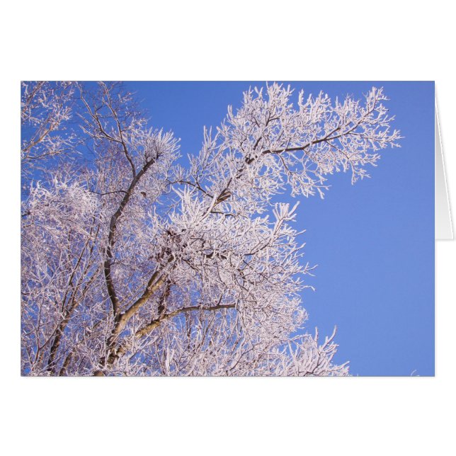 Belle scène de neige (Devant horizontal)