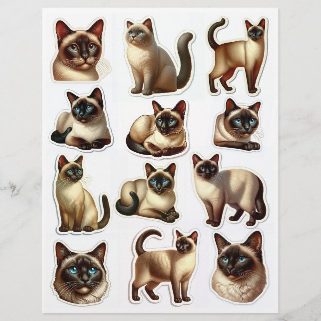 Belle Siamese Cat Illustrations Têtes & Corps (Devant)