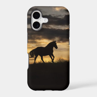 Belle Silhouette Coucher de Soleil Cheval Libre