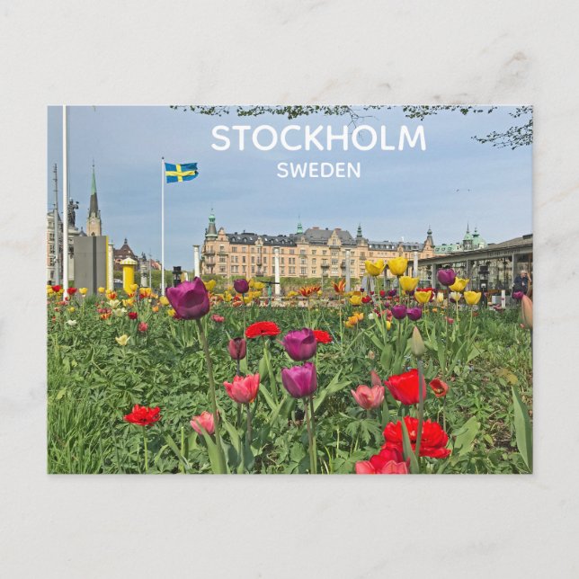 Belle Suède Stockholm Carte postale ! (Devant)
