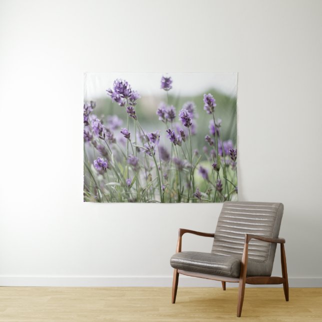 Belle tapisserie violette de champ de lavande (En situation (horizontale))