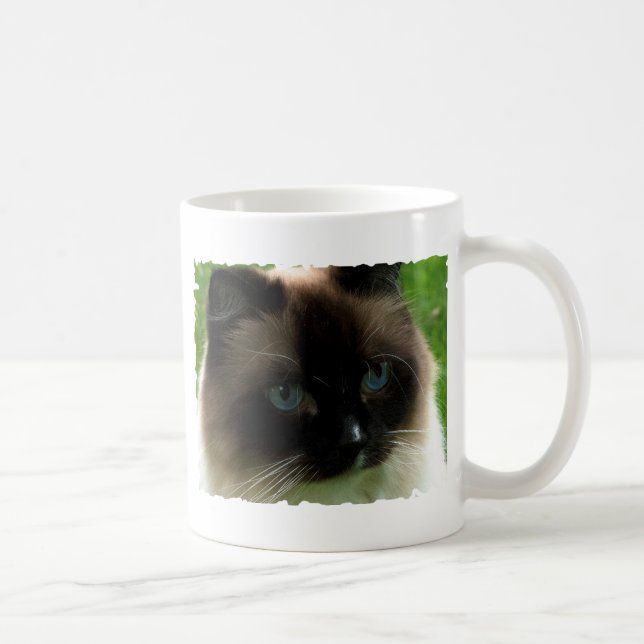 Belle tasse de chat de Ragdoll (Droite)