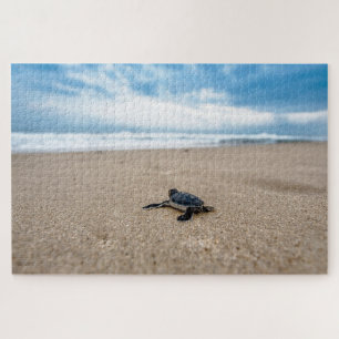 Belle Tortue de mer Jigsaw Puzzle