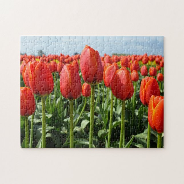 Belle tulipe rouge puzzle d'impression (Horizontal)