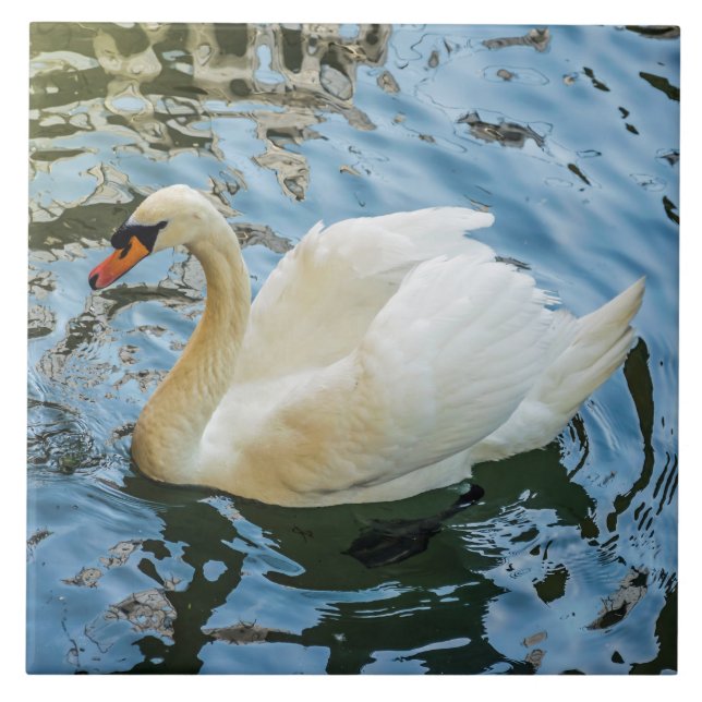 Belle vue cygne blanche carreaux céramique (Devant)
