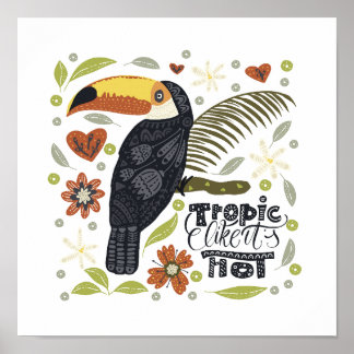 Belles affiches Toucan pour chaque style de décora