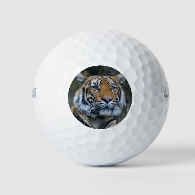 Belles balles de golf de Tiger (Devant)