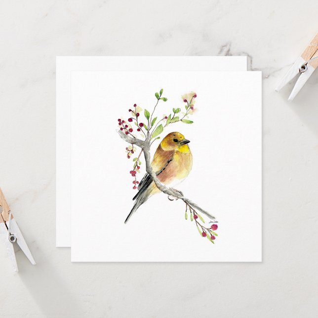 Belles cartes à notes d'aquarelle Goldfinch (Beautiful Goldfinch Watercolor Blank Square Note Cards from Jenn Steffen Art)