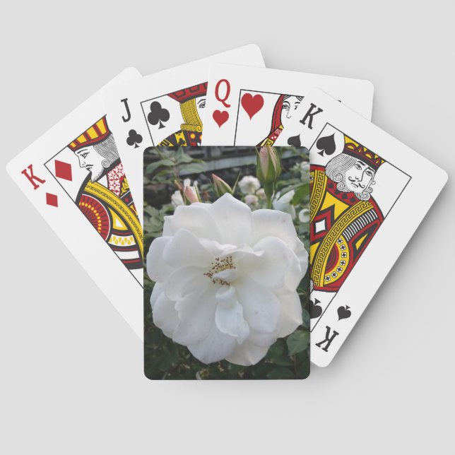 Belles cartes de jeu (dos)