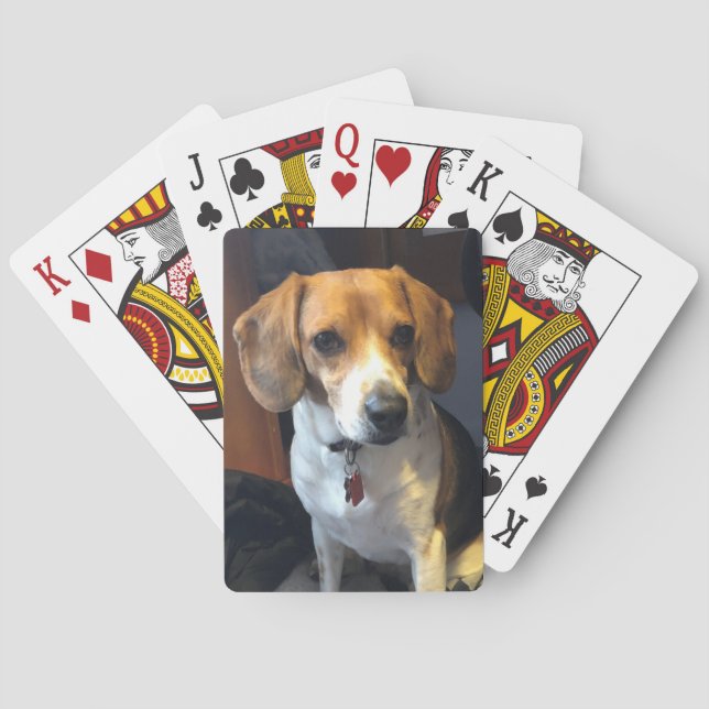 Belles cartes de jeu de beagle (dos)