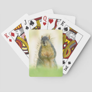 Belles cartes de jeu d'écureuils