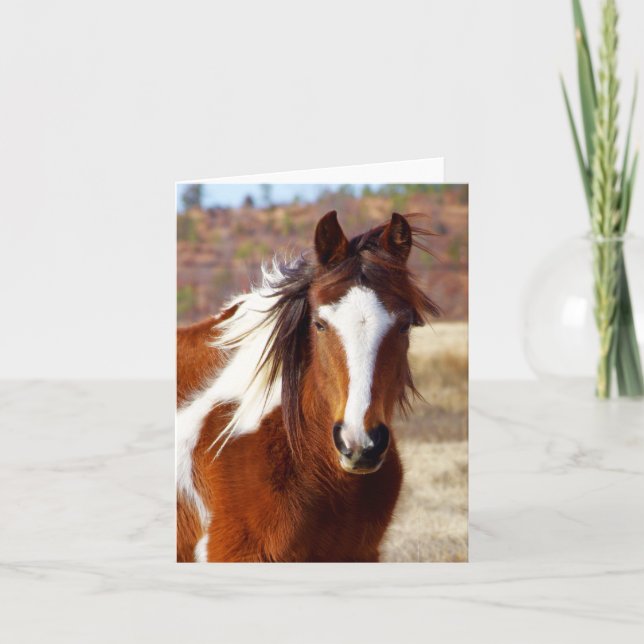 Belles cartes de notes pour Cheval de Peinture (Devant)