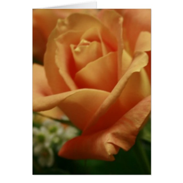 Belles cartes de notes Rose Peach (Devant)