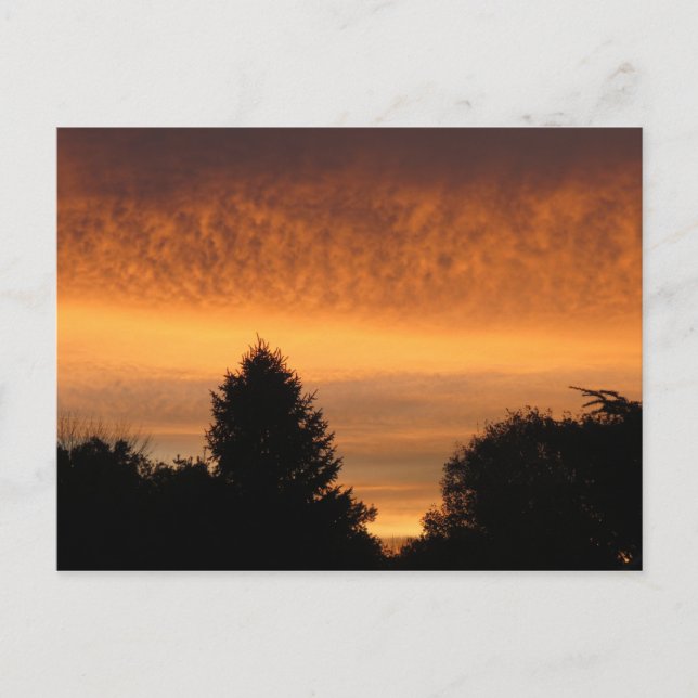 Belles cartes postales Sunrise (Devant)