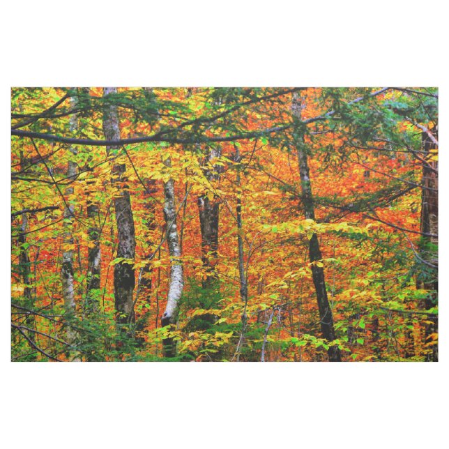 Belles couleurs d'automne dans le tissu (Yard)