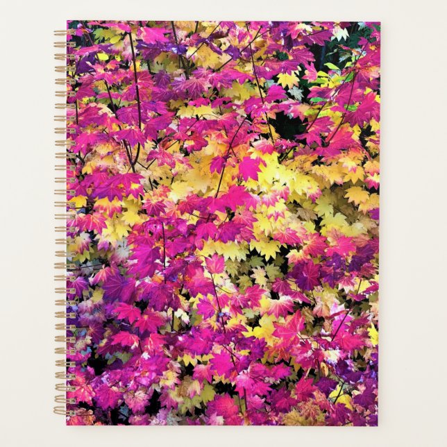 Belles feuilles automnales (Devant)