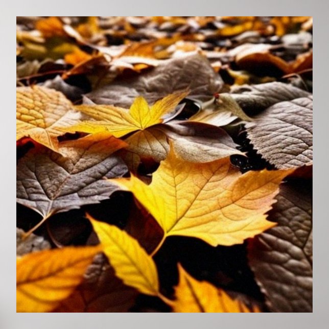 Belles feuilles d'automne au sol 4 affiche (Devant)