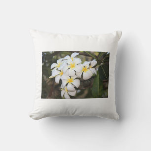 Belles fleurs blanches, Plumeria, coussin