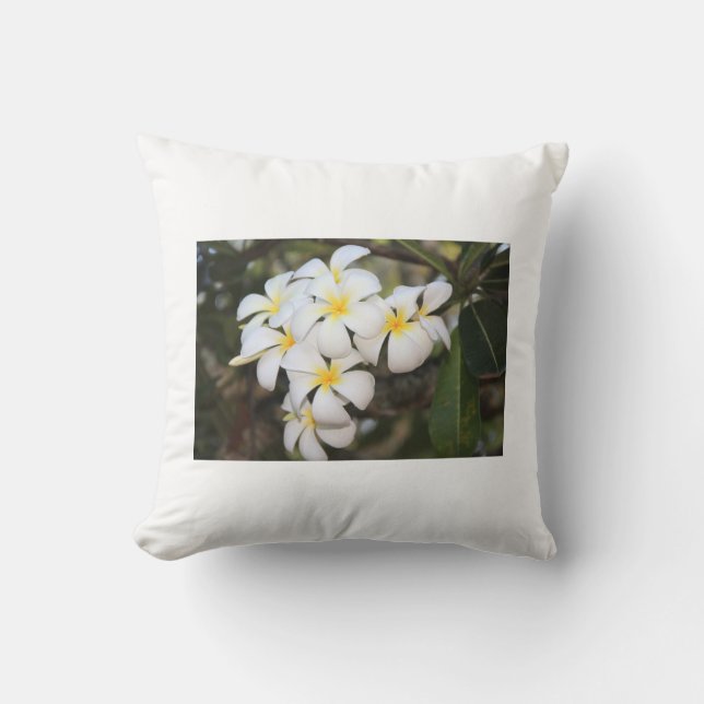 Belles fleurs blanches, Plumeria, coussin (Recto)