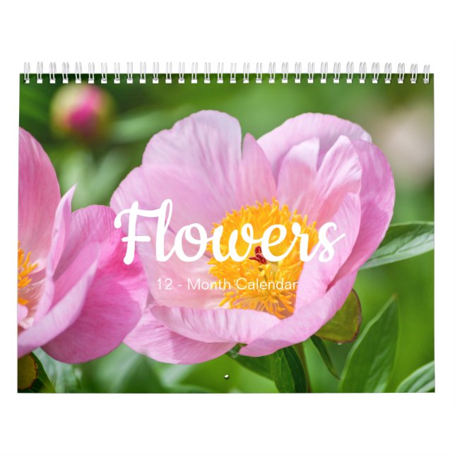 Belles FLEURS Calendrier de 12 mois (Protection)