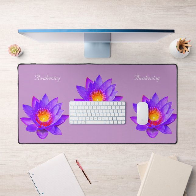 Belles fleurs de lotus sur violet (Bureau 1)