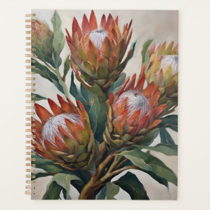Belles fleurs de Protea d'Afrique du Sud