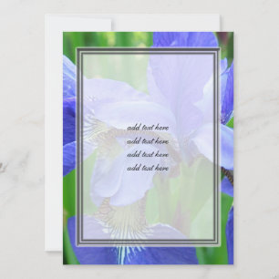 belles fleurs d'iris bleu