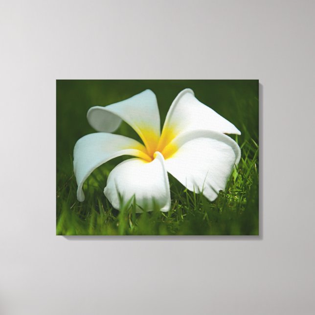 Belles Fleurs Gros plan - Toile Enveloppée (Recto)