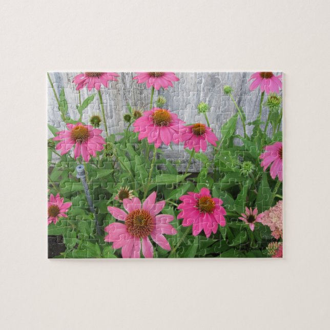 Belles fleurs roses dans Puzzle de jardin (Horizontal)