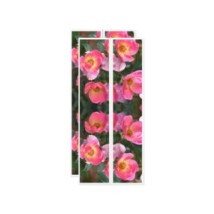 Belles Fleurs Roses Deux Signets