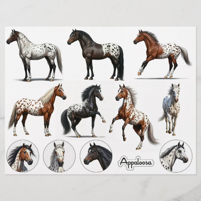Belles illustrations d'Appaloosa Horse (Devant)
